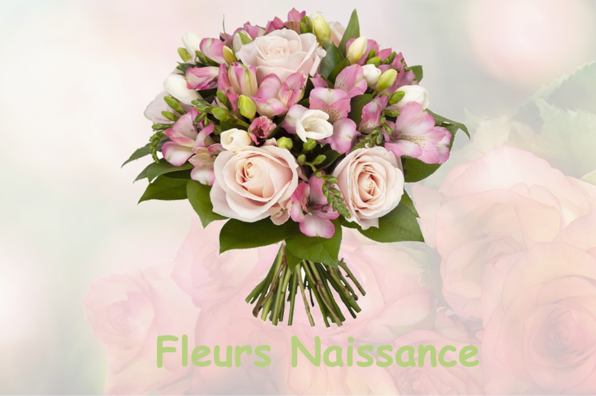 fleurs naissance PASSY-EN-VALOIS
